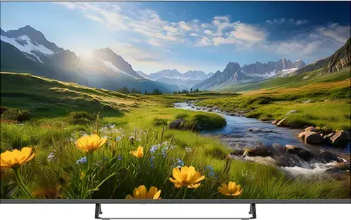 Profilo 55PA535ESG Televizyon